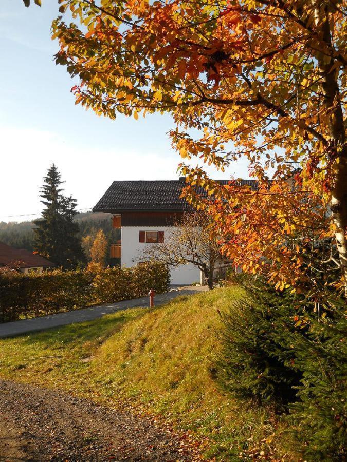 Ferienwohnung Piller Hohenau Exteriör bild